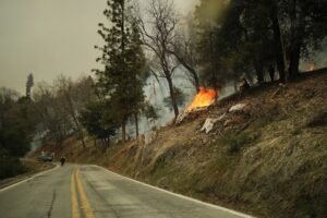 A fast-growing Georgia wildfire tops 31 square miles, with evacuations possible