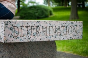 Appeals court backs Trump administration’s mandatory detention policy in Minnesota case
