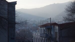 Are Georgia and other states becoming uninsurable? We have the latest data