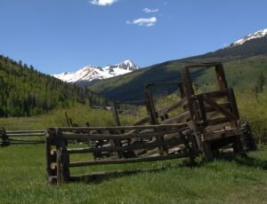Colorado legislature kills bill barring beaver hunting or trapping on public lands