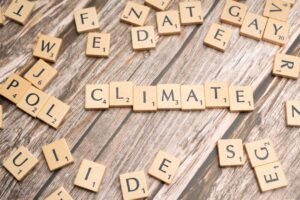 Environment and climate bills that passed and failed in WA’s legislative session