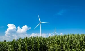 EPA increases biofuels in new Renewable Fuel Standard