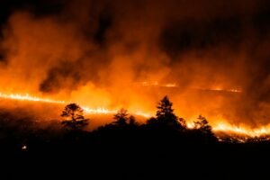 Georgia Declares Emergency as Wildfires Consume 39,500 Acres, Destroy 120 Homes