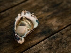 Gov. Janet Mills battles oyster farmer for female voters in key Maine Senate race