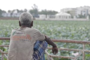 Hawai‘i Farmers Confront $11M In Flood Damage Without A Safety Net