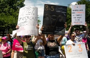 Illinois Bill Would Create State Grant Program to Fund Abortions for Uninsured and Underinsured Residents