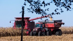 ‘Illinois farmers can feed Illinois’: State grant program offers assistance
