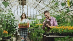 New York Minimum Wage Increases Examined as Hidden Tax Burden on Small Businesses