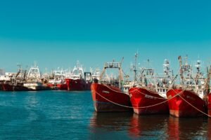 Oil Prices Drop 11% as Iran Announces Strait of Hormuz Reopening