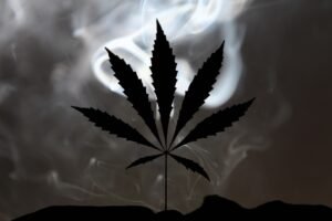 Texas Smokeable Hemp Cannabis Ban Takes Effect March 31 Under New State Health Rules