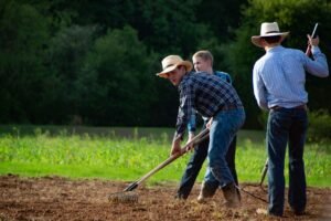 Trump administration acknowledges it needs immigrant farmworkers as it moves to cut their pay