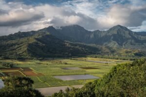 Beginner Farmers Need Look No Further Than West Kauaʻi