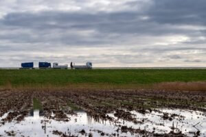 Stillaguamish Tribe Restores 230-Acre Tidal Wetland to Aid Threatened Chinook Salmon