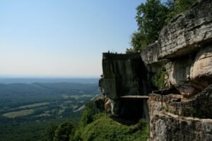 Tennessee Lookout Earns 11 Tennessee Press Association Awards, Including Five First-Place Honors