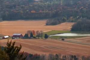 Trump Holds Wisconsin Farm Roundtable Alongside Congressional Allies, Touts Agricultural Policy
