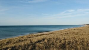 Trump Administration Narrows “Harm” Definition, Removing Habitat Loss From Endangered Species Protections