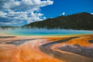 Sholly Leaves Yellowstone After Eight Years as Superintendent